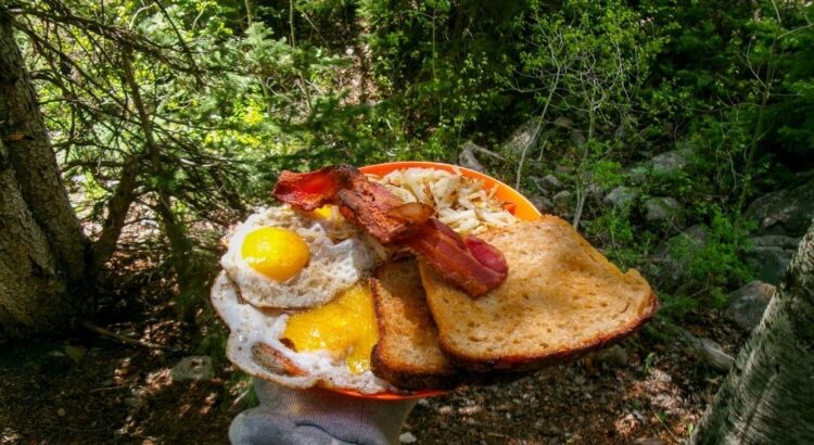 En stor frokosttallerken med egg, bacon, pommes frites og brød i skogen